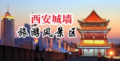 大鸡吧日骚逼对白视频中国陕西-西安城墙旅游风景区